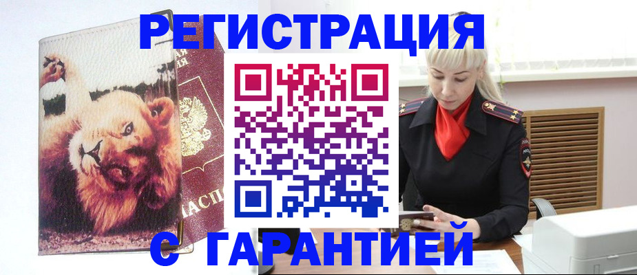 прописка от собственника в Курчалом